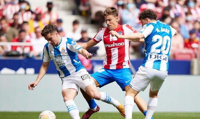 歐冠冠軍 歐冠冠軍