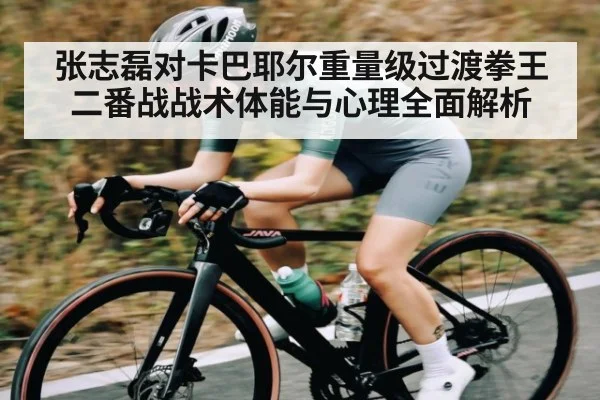 张志磊对卡巴耶尔重量级过渡拳王二番战战术体能与心理全面解析